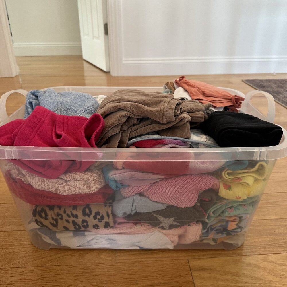 Bundle of toddler girl clothes sizes 2T-4T